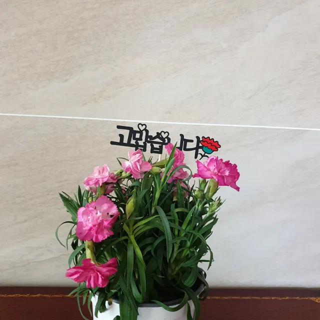 비우기줌바