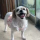 상상언니