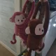 짱짱이