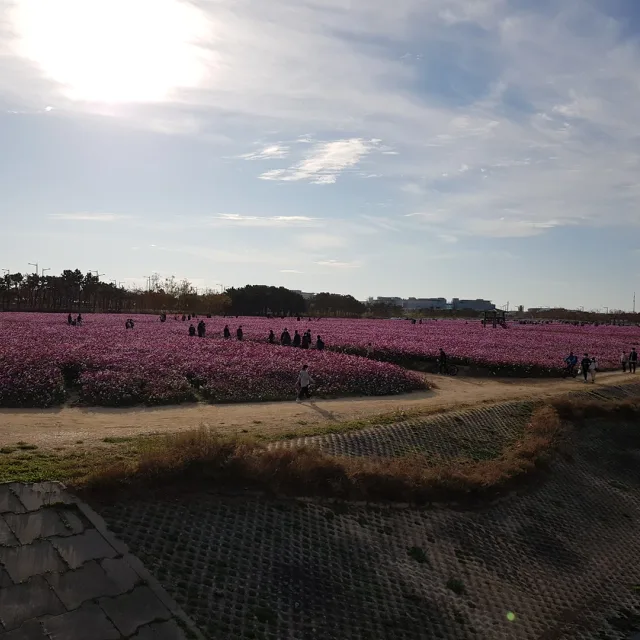 제로스
