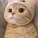쿨거래하자