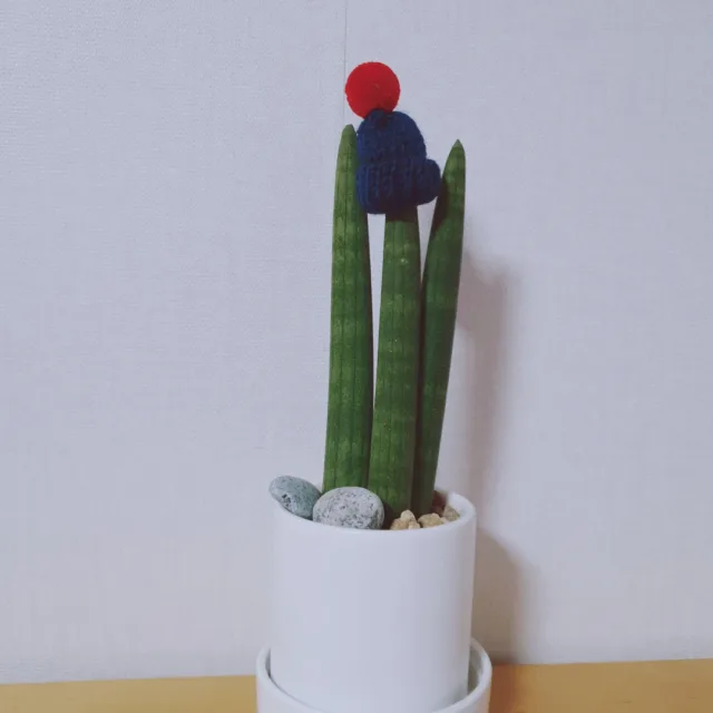꾸까