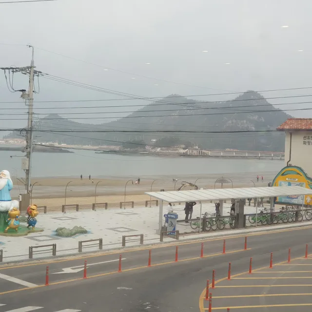네잎클로바