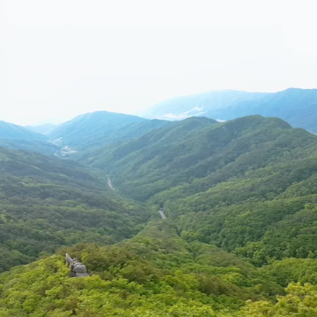 포돌잉