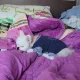 블랑아부지