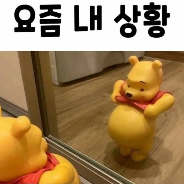 태지미