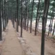 훈e