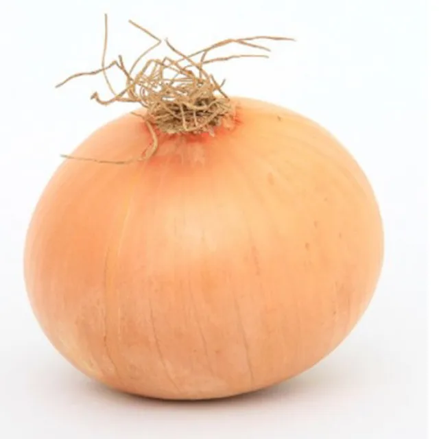 당근친구양파