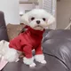 간지Jin
