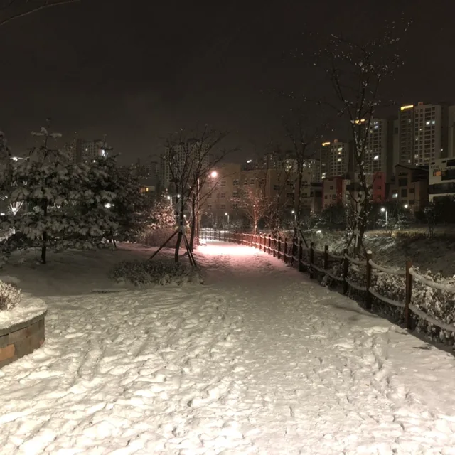 고들빼기