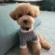 봉인해제