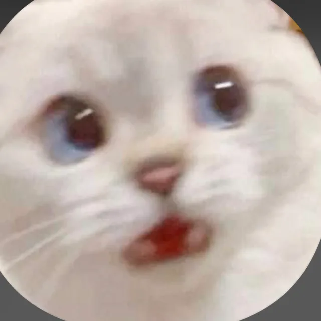 야옹이