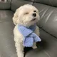 정선이아빠