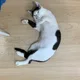 박규봉