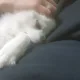 당긍당근