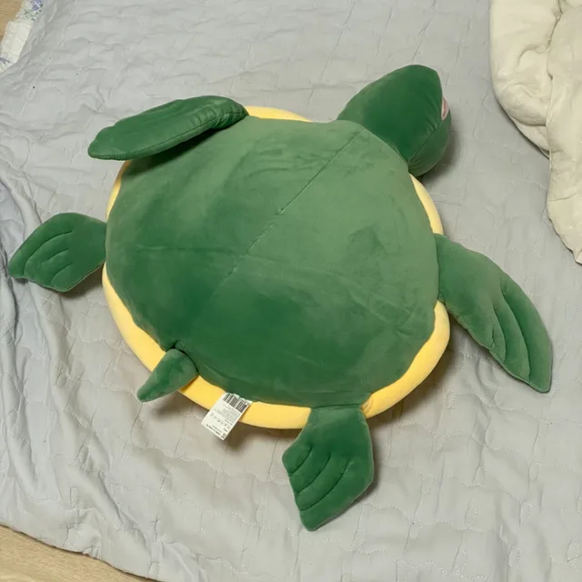 하루살이