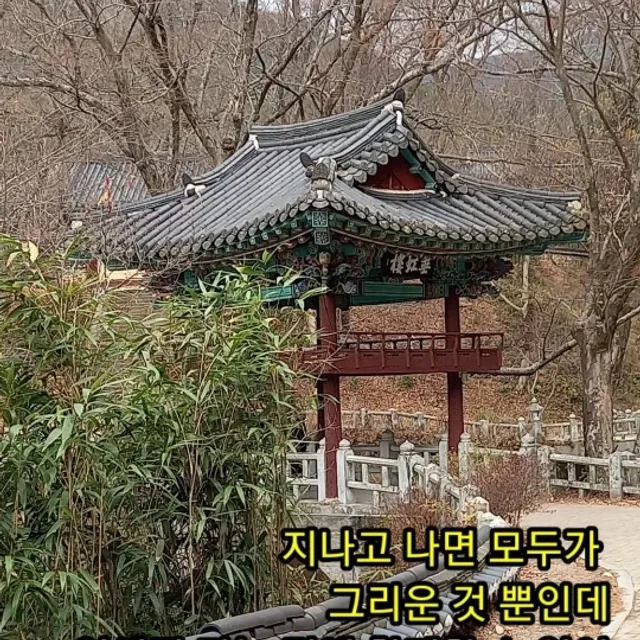 페파민트