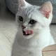 때껄룩
