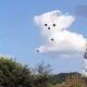 바셀린