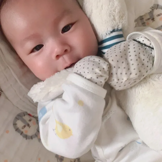 빰빰빰