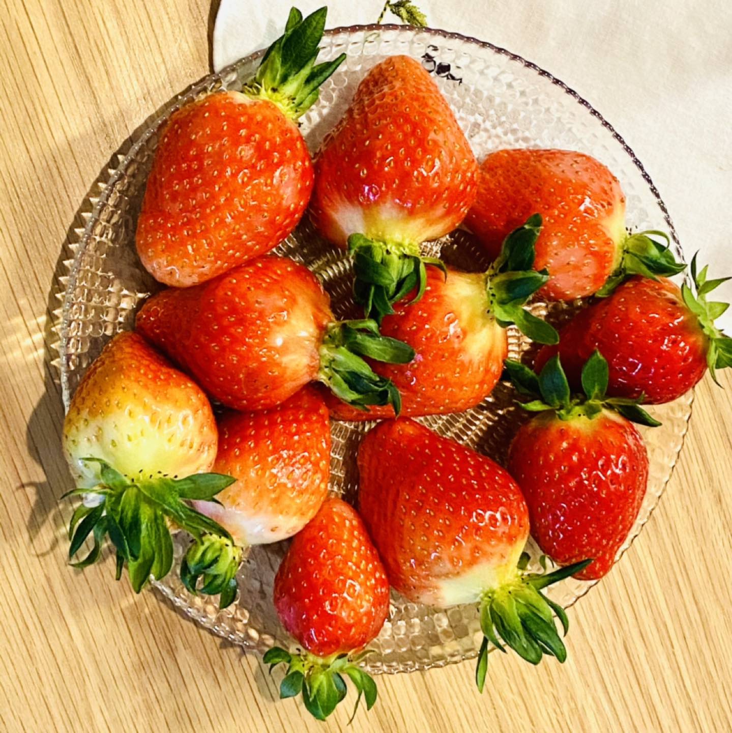 둘리모친
