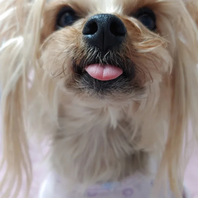 하랑맘