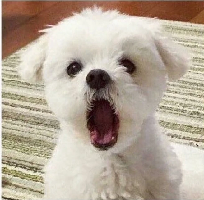 서마터폰중독이다