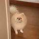 민또먹
