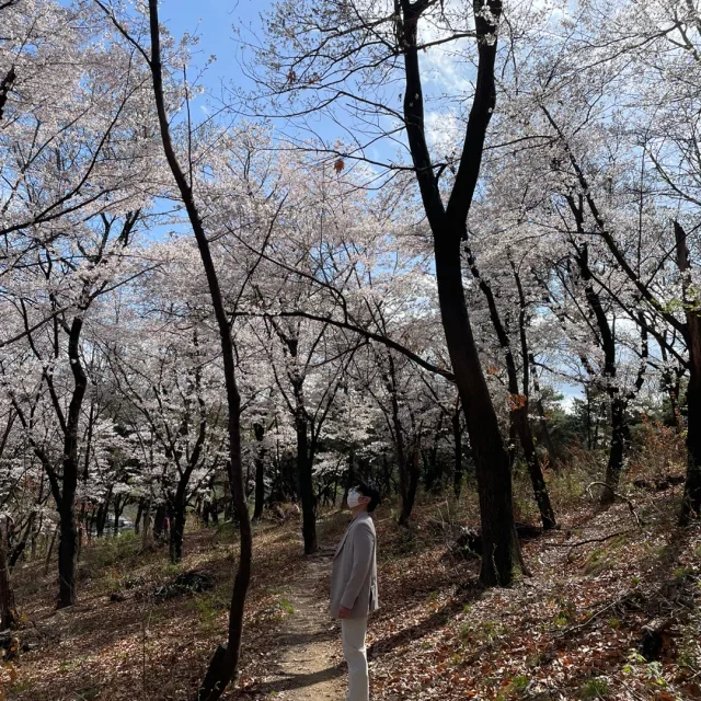 최싸부
