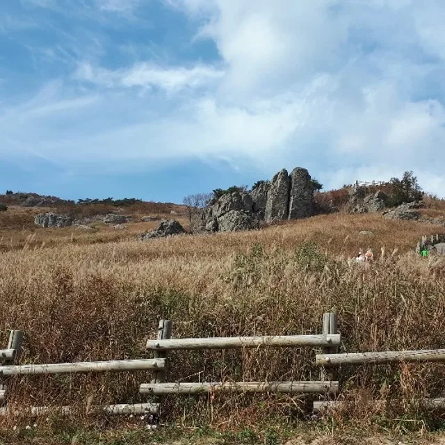 당근좋아