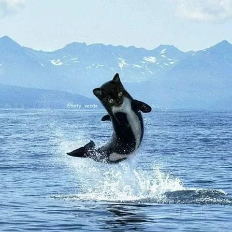 건방진감자