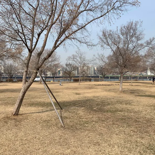 뉴당근