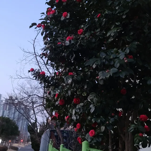 만재