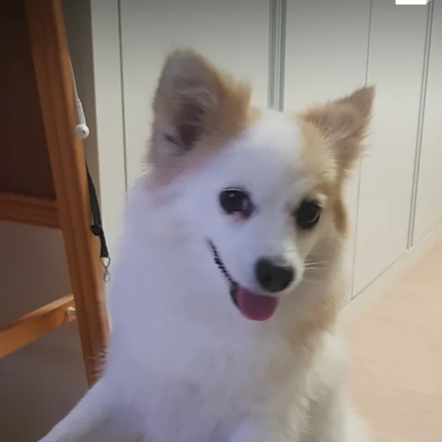 청명