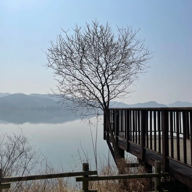 유리엘