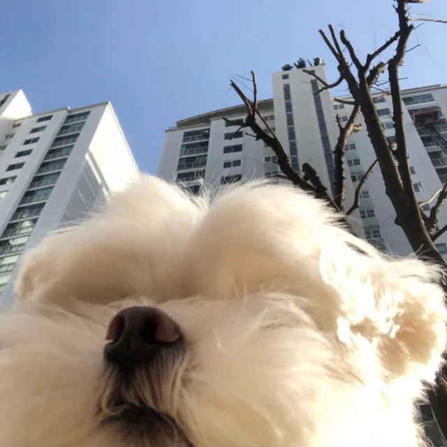 뭉망