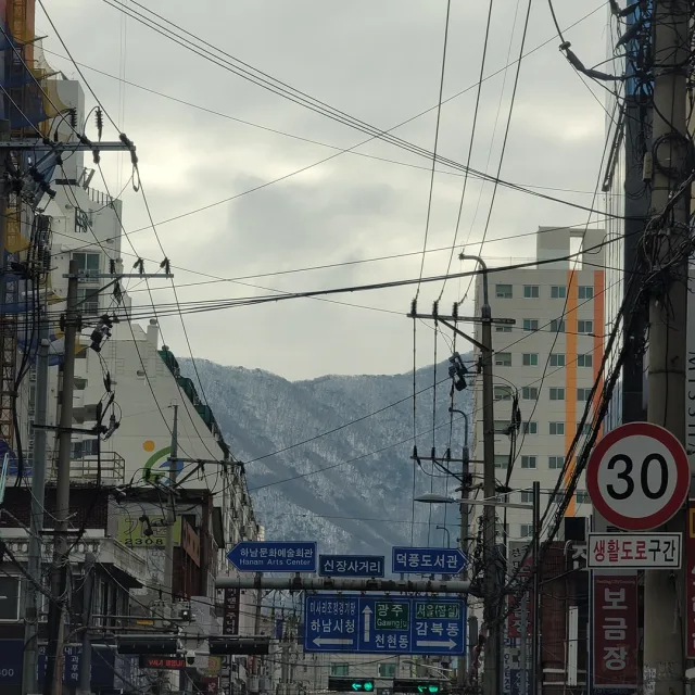 따릉이네