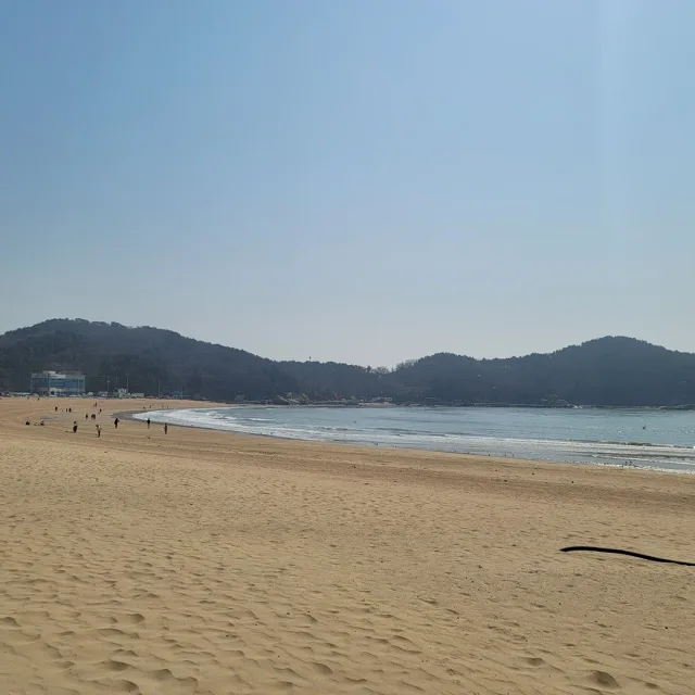 린정