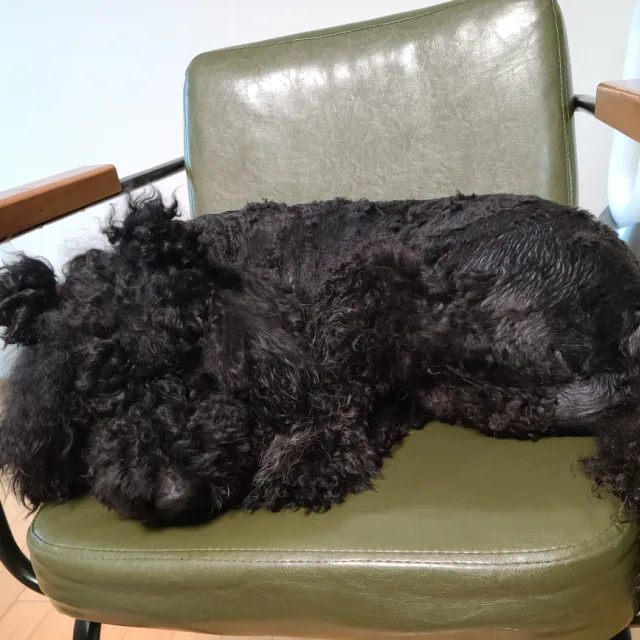 보루