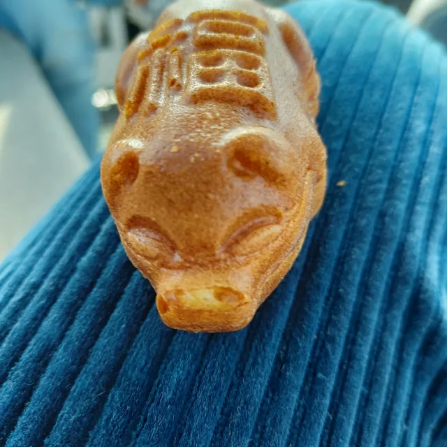 셀리