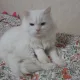 뾰로퉁퉁