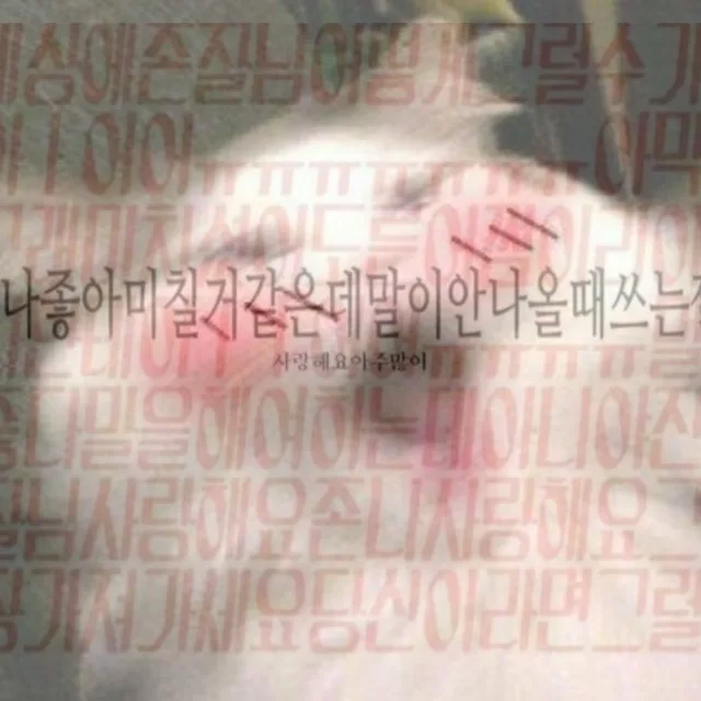 하이에브리원