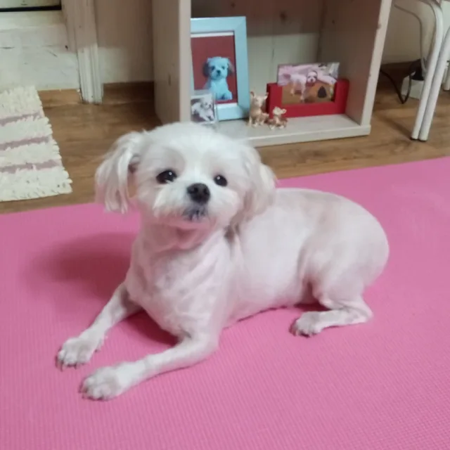 콩이네