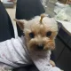 가윤