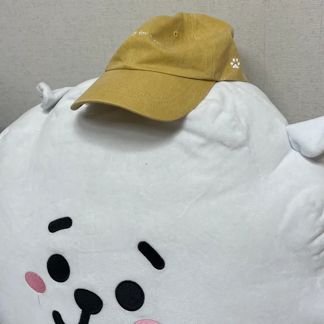 두아립밥