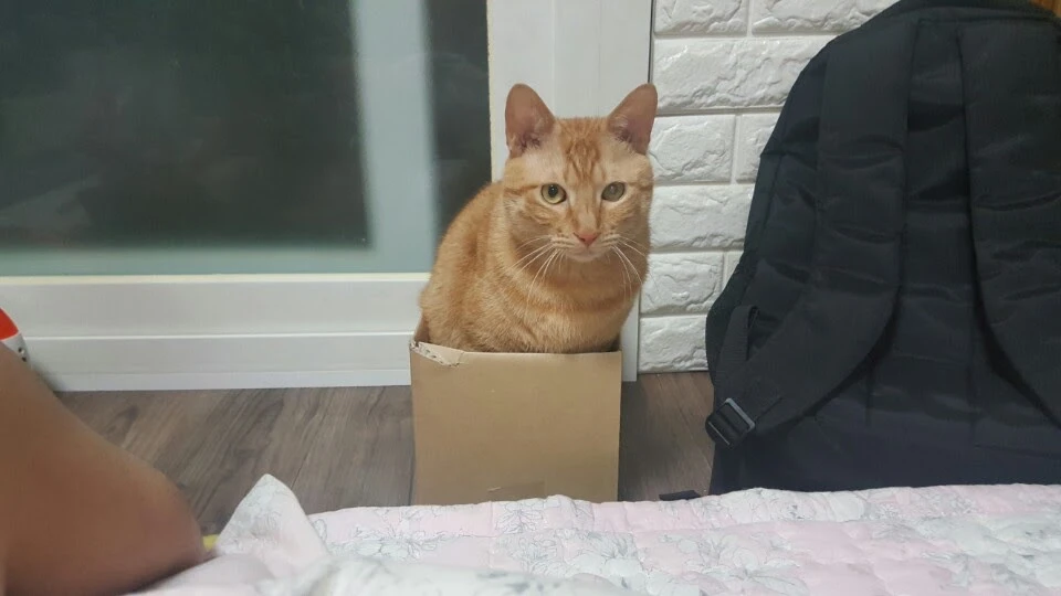 언년이