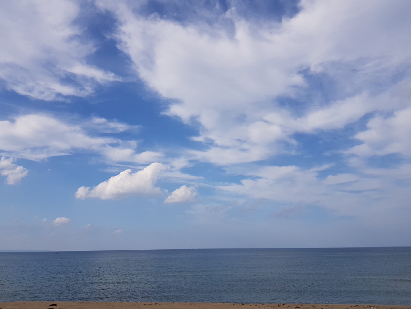 모닝커피