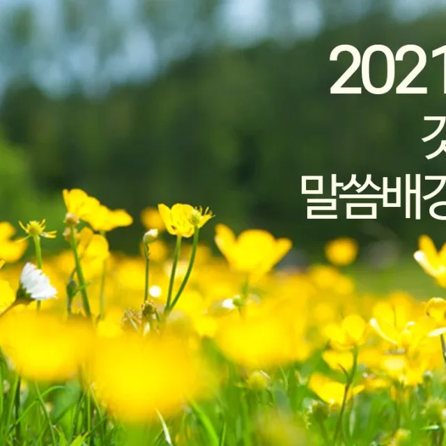 파리