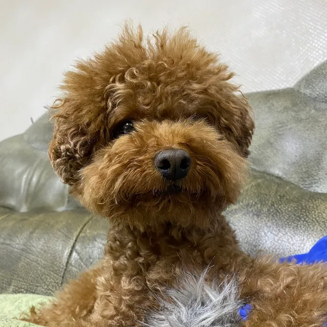 울몽몽