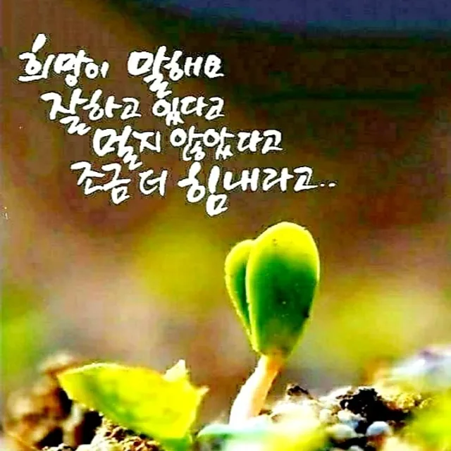 또니엄마